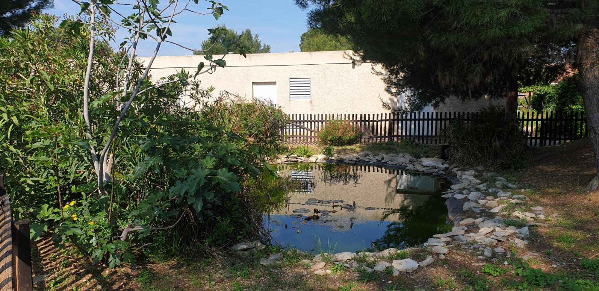 Maison"La Cigale Du Sud" Calvisson Exterior foto